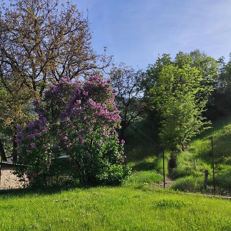 Comme Chez Vous Villa Bayons Luaran gambar