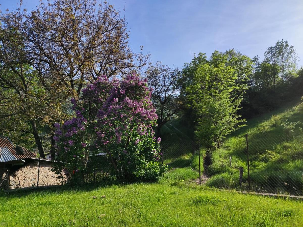 Comme Chez Vous Villa Bayons Luaran gambar